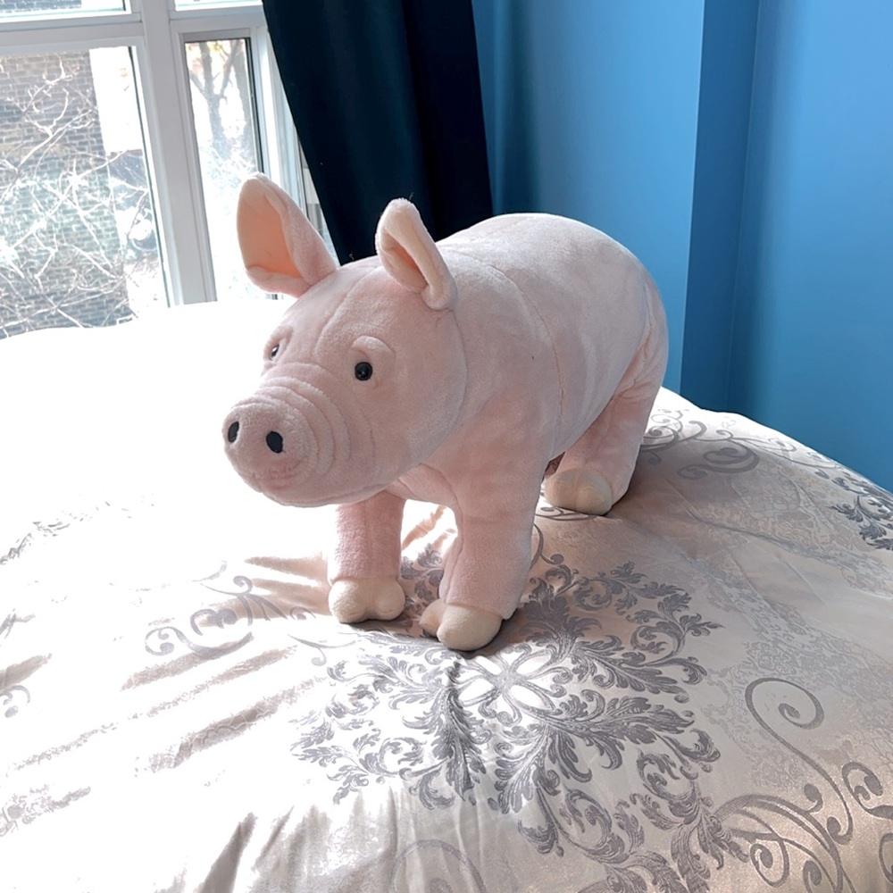 GINORMOUS PIG